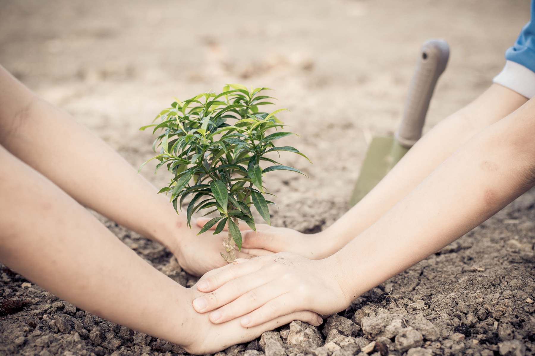 Enfants qui plantent un arbre - Code de conduite de Faporlux favorisant la protection de l'environnement et du droit de l'homme